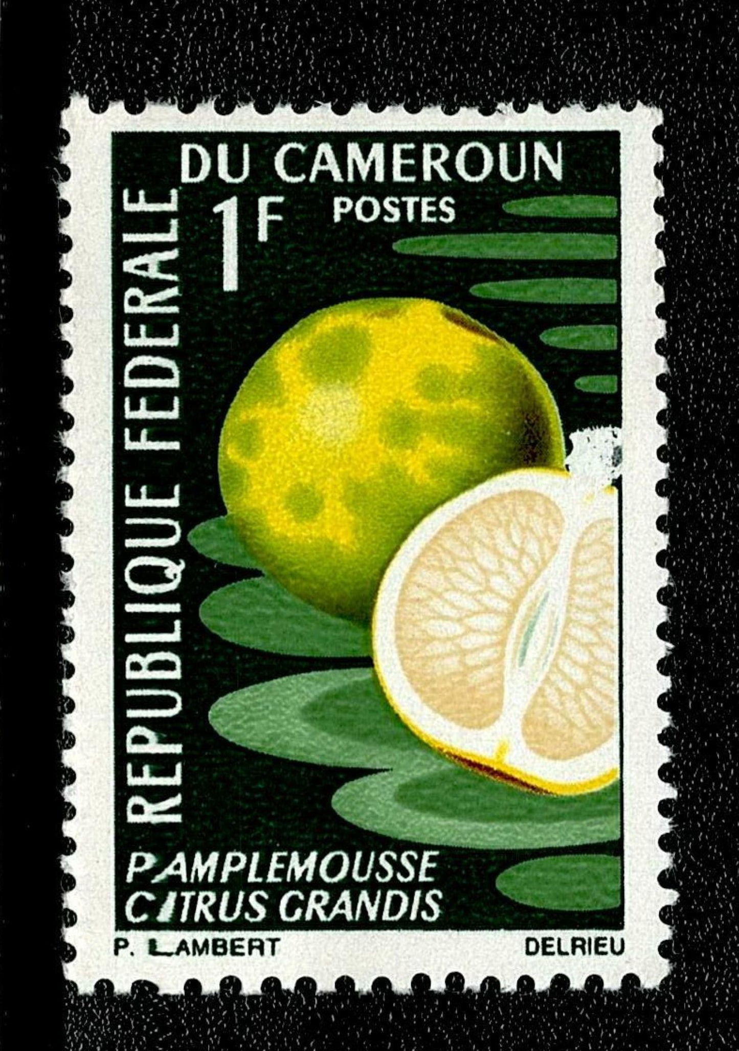 SCG132 Cameroon Tropical Fruits Stamp Set – Republic Fédérale du Cameroun (1F to 40F)