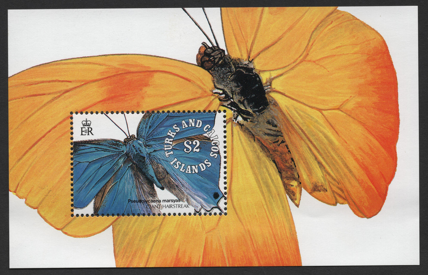 SCG1245 - Turks and Caicos Islands – Giant Hairstreak Butterfly Miniature Sheet