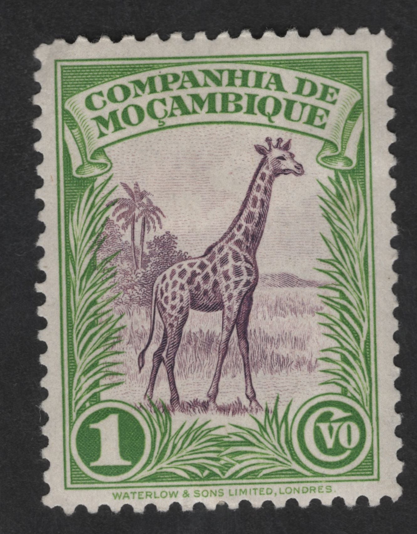 SCG12670 - Mozambique Company 1 Centavo Giraffe Definitive Stamp