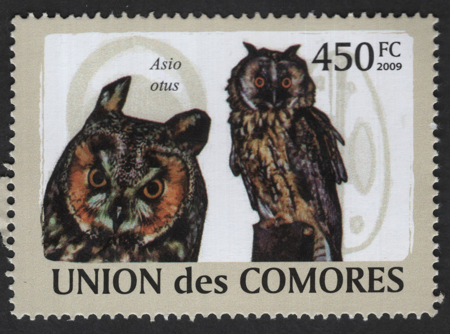 SCG12846 - Union des Comores 2009 – Long-Eared Owl (Asio otus) Wildlife Stamp