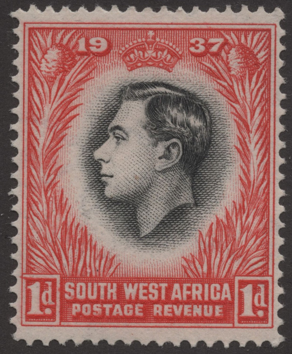 SCG216 Mint South West Africa 1d Stamp – King George VI Coronation 1937
