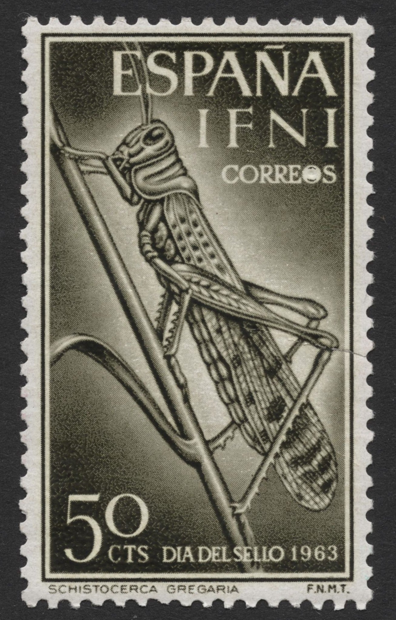 SCG320 - 1963 Ifni Stamp Day – Locust Illustration, 50 Cts