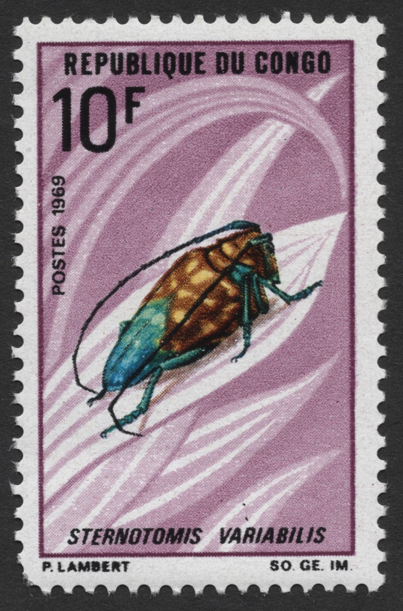 SCG323 - Vibrant Beetle of Congo - Sternotomis variabilis (10 Francs)