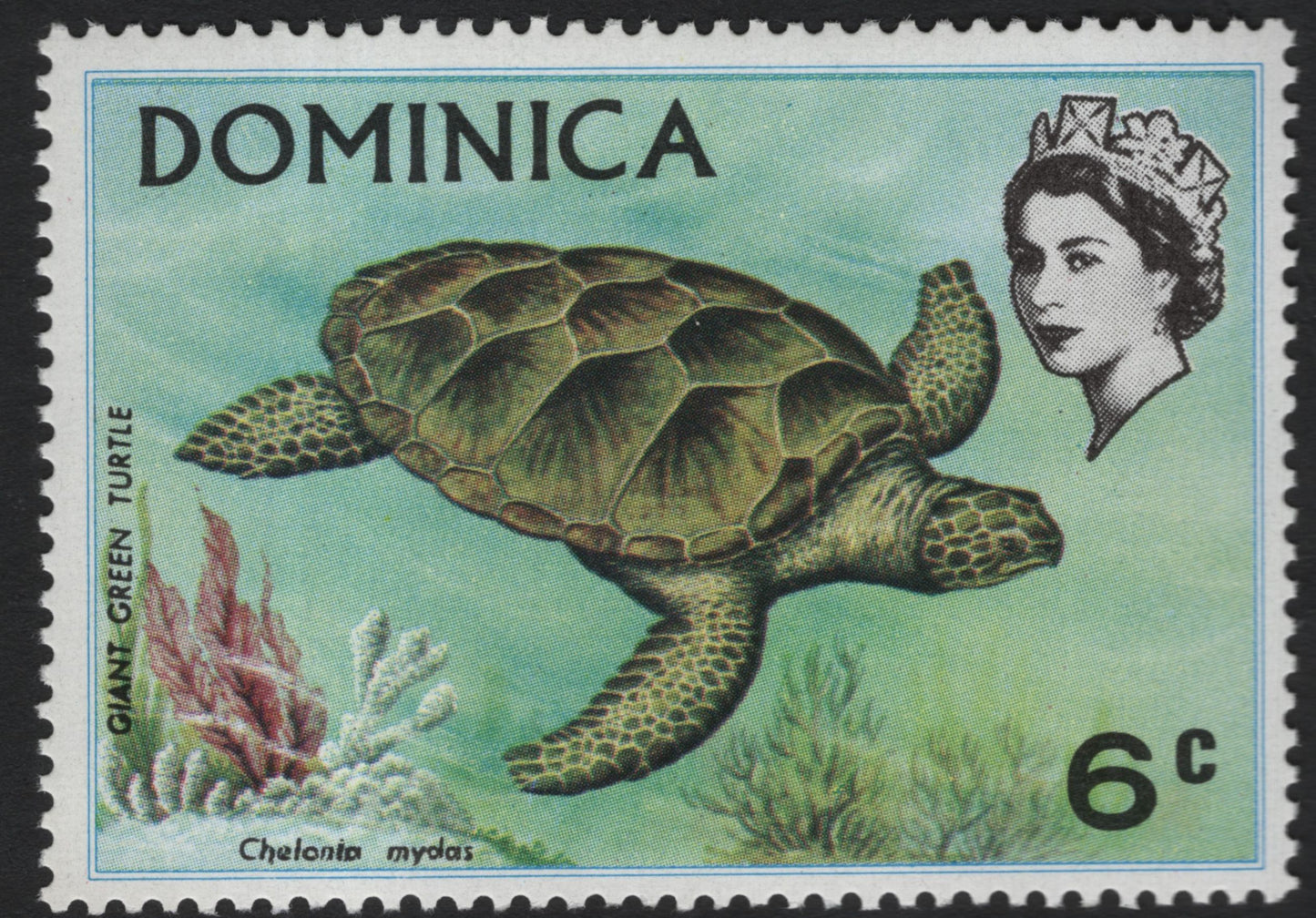SCG10301 - Dominica – Wildlife & Nature Definitives Set (Parrots, Flowers, Flying Fish, Green Turtle) – 24c–60c