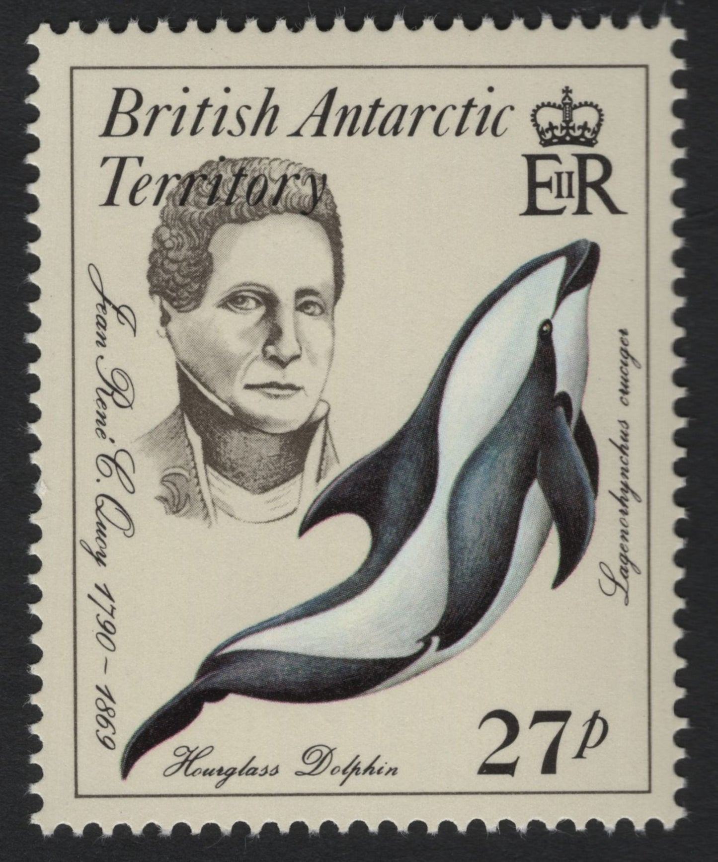 SCG8991 - British Antarctic Territory – Explorers & Antarctic Wildlife (Weddell Seal & Hourglass Dolphin), 54p & 27p