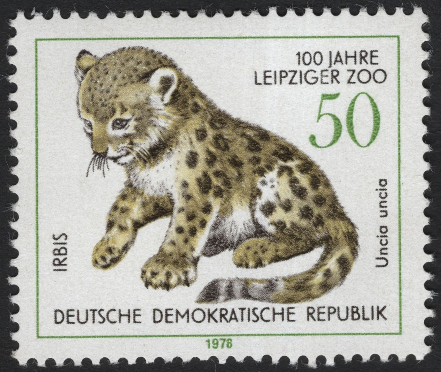 SCG8802 - DDR 1978 – Snow Leopard Cub Irbis (Leipzig Zoo Centenary)