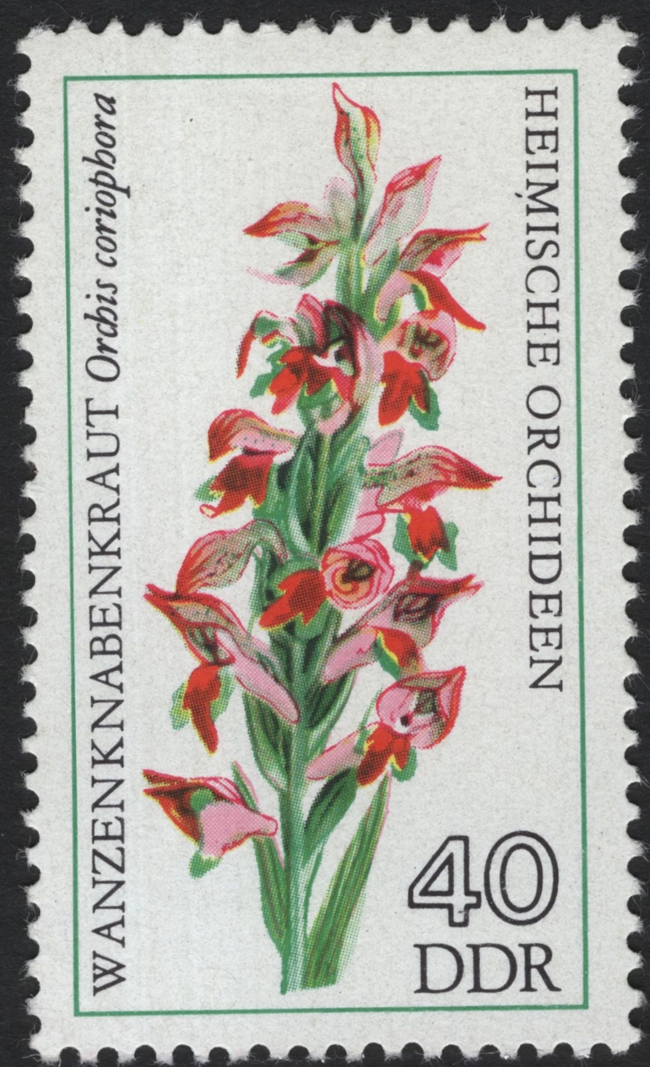 SCG8312 - DDR 1975 “Heimische Orchideen” – Native Orchids of East Germany