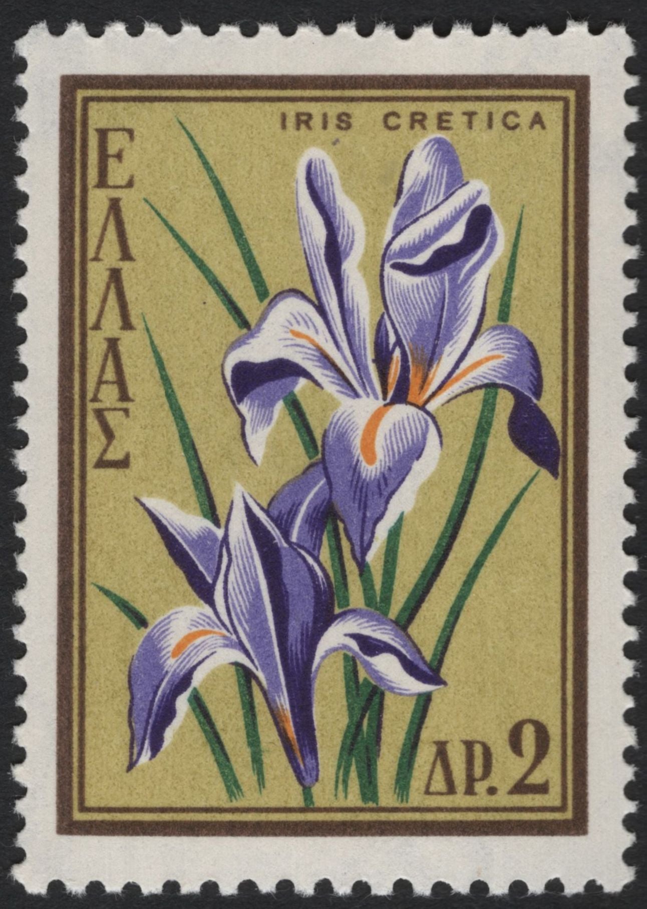 SCG8320 - Greece 1961 Native Flowers Definitives – Cyclamen, Tulip & Iris