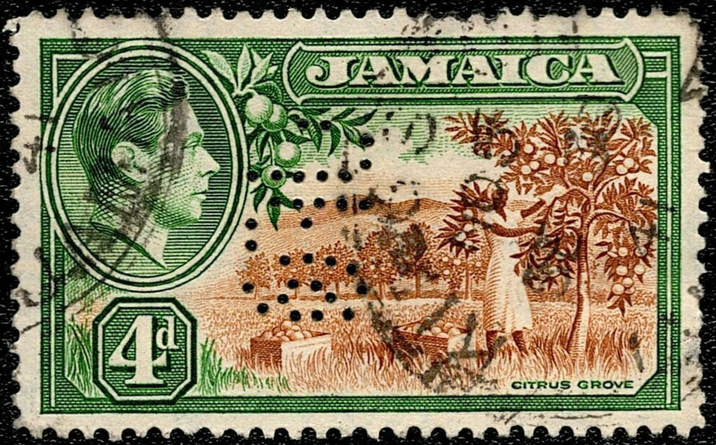 SCG686 - Jamaica 4d King George VI Citrus Grove Perfinned Used
