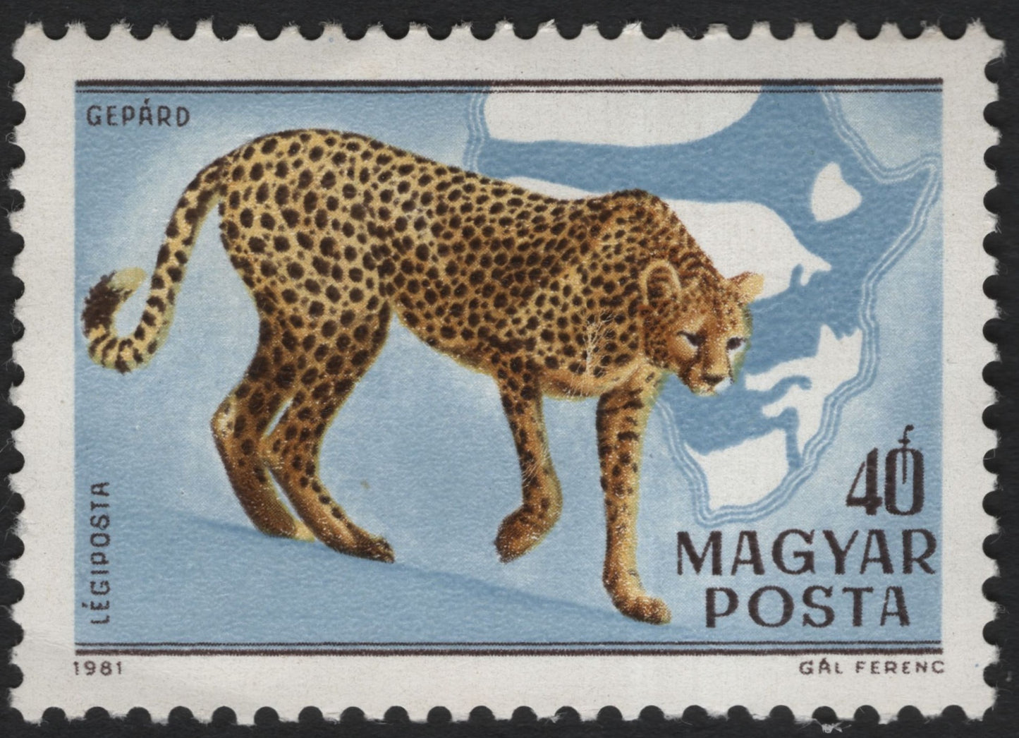SCG8693 - Hungary 1981 Cheetah Airmail (Gepárd) – 40f Wildlife Issue