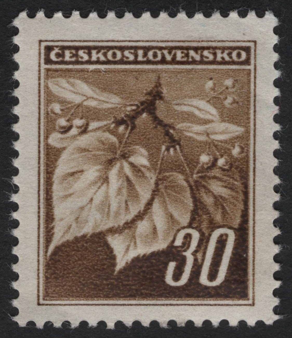 SCG9736 - Czechoslovakia – 30h Linden Leaves Definitive (Brown), Early 1950s