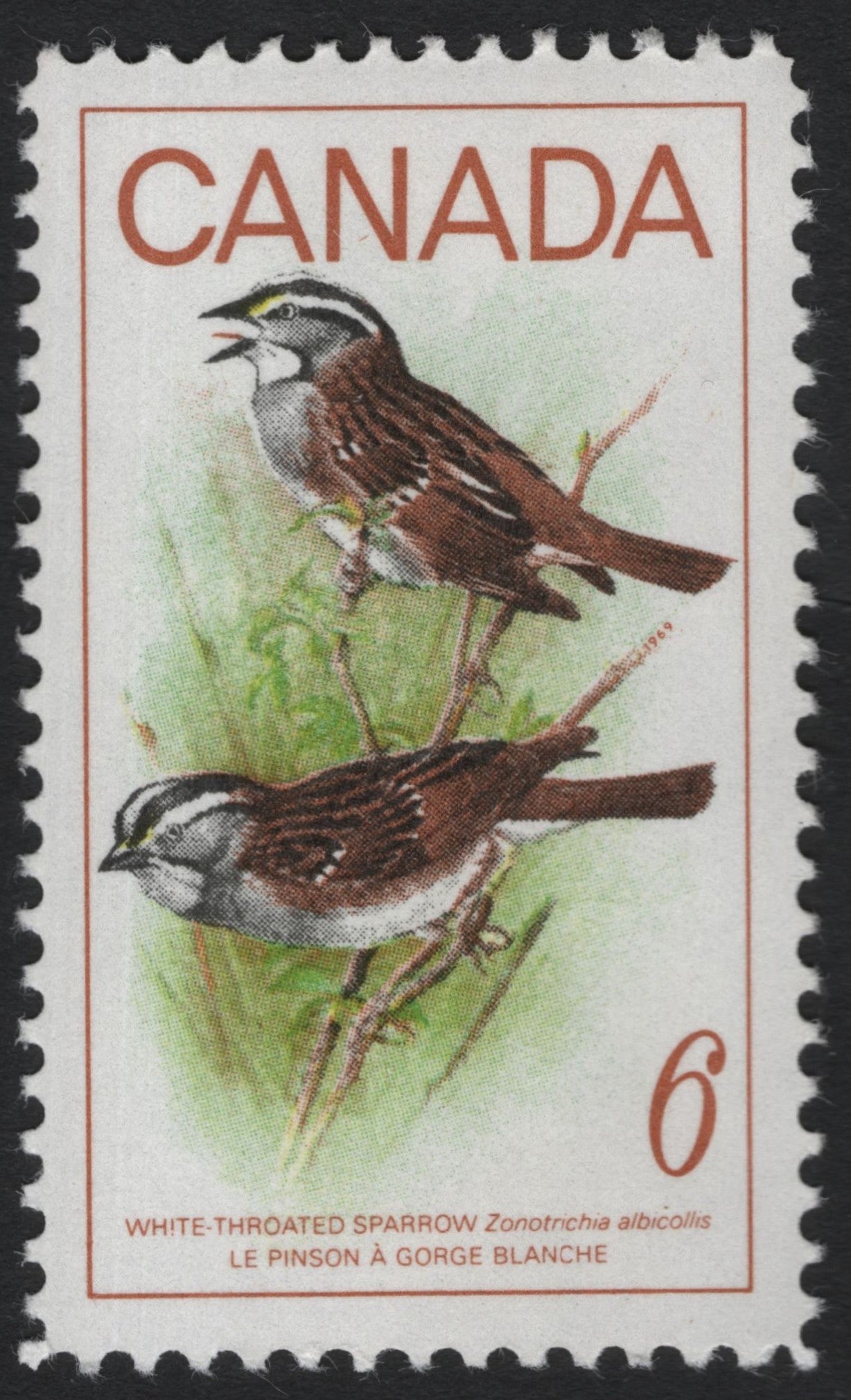 SCG9742 - Canada 1960s – White-Throated Sparrow 6¢ Definitive