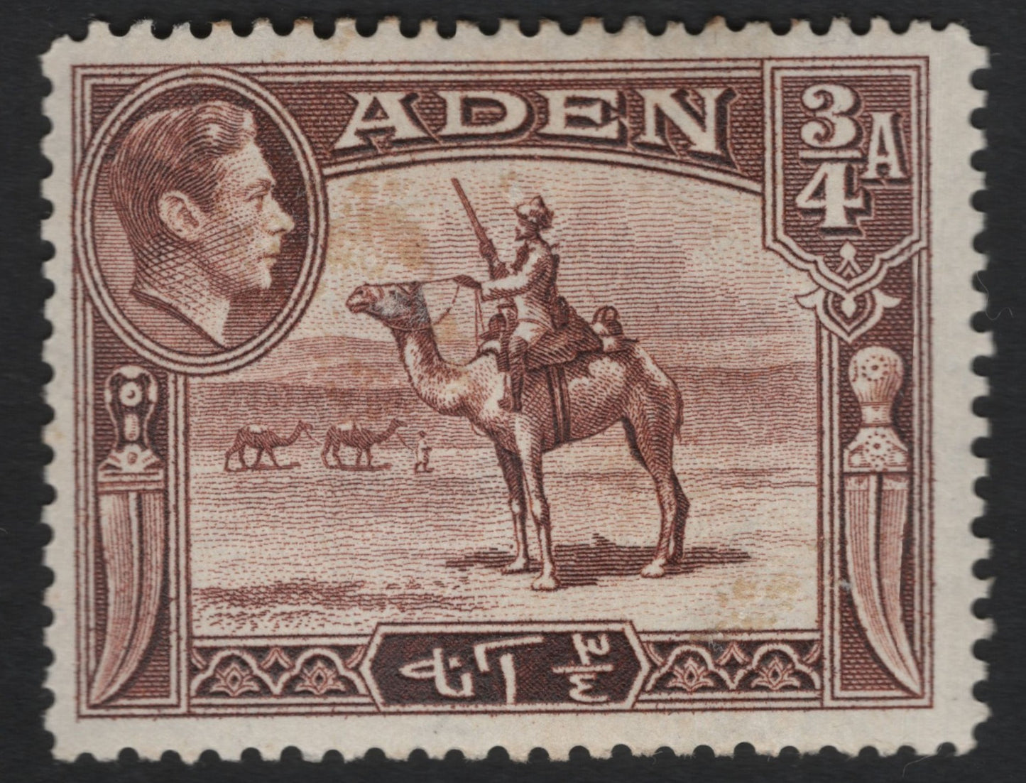 SCG9302 - Aden 3 Annas 4 Pies – Camel Rider & King George VI (1937–1940s)