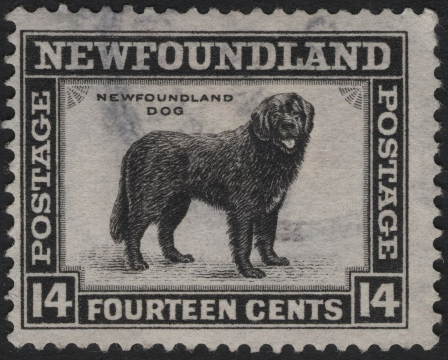 SCG9013 - Newfoundland 14¢ “Newfoundland Dog” (Classic Issue)