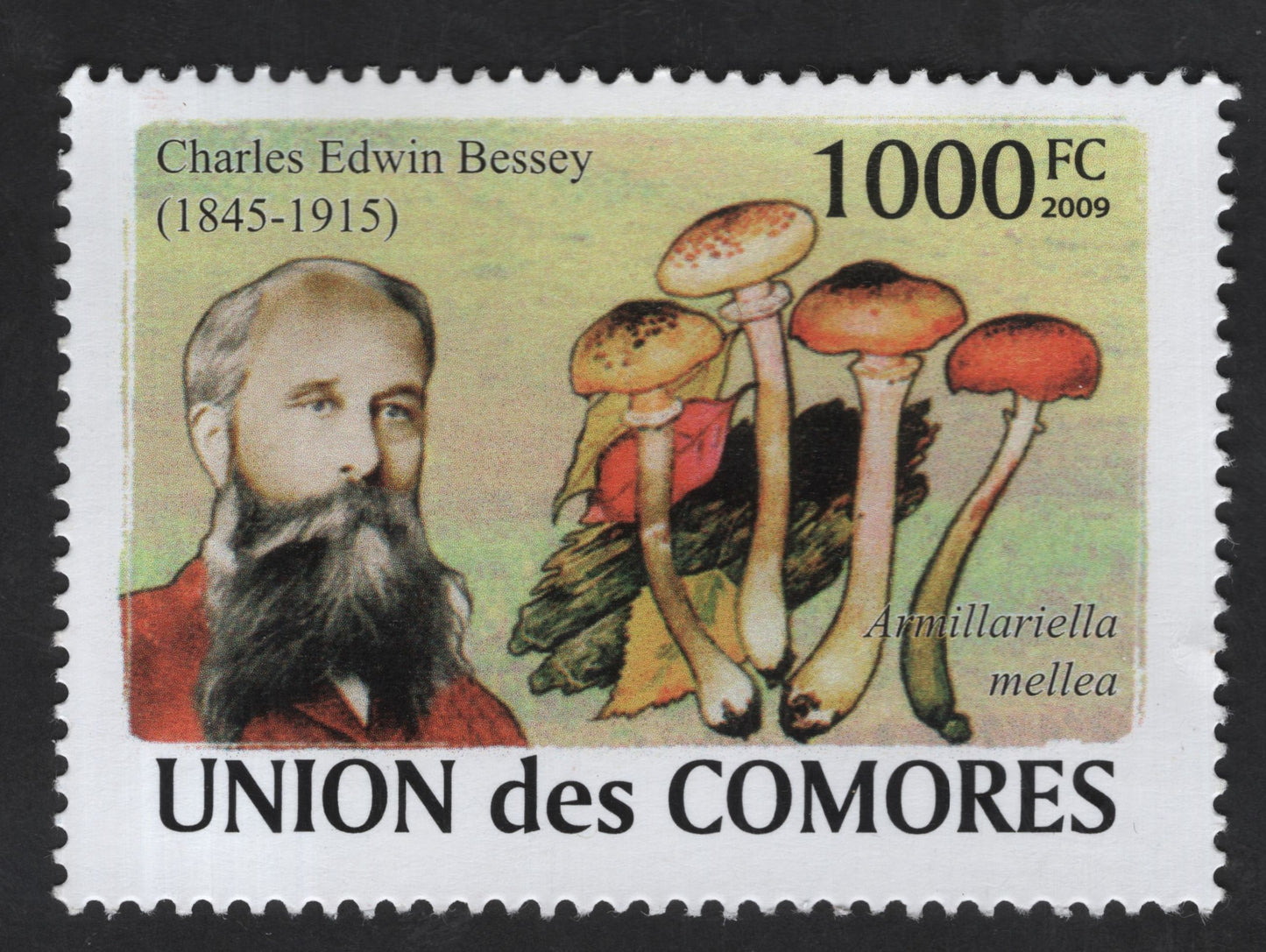 SCG13747 - Comoros 2009 – Charles Edwin Bessey & Armillaria mellea Mushroom (1000 FC)