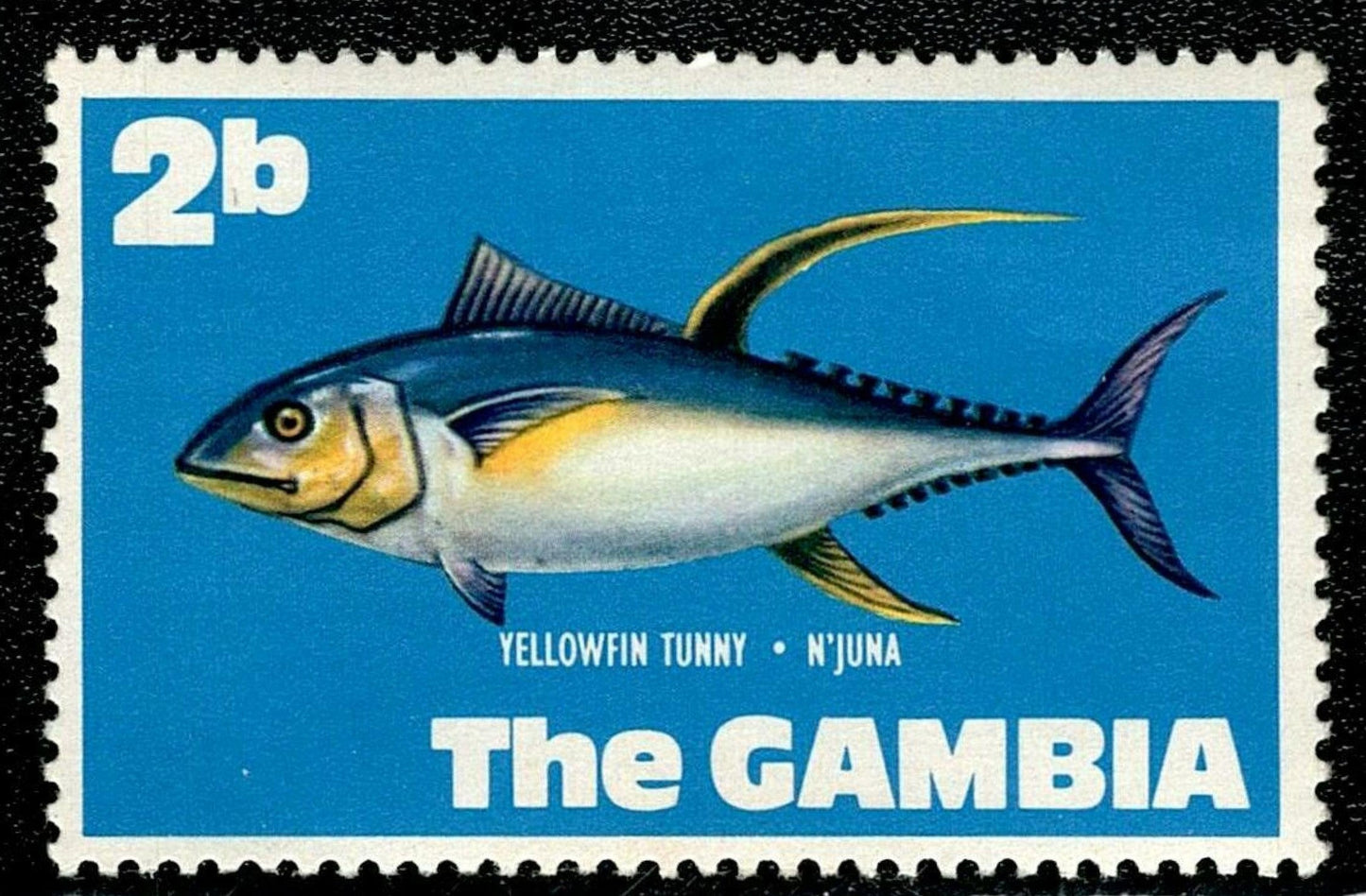 SCG128 Gambia 2b Stamp – Yellowfin Tuna (N'juna)