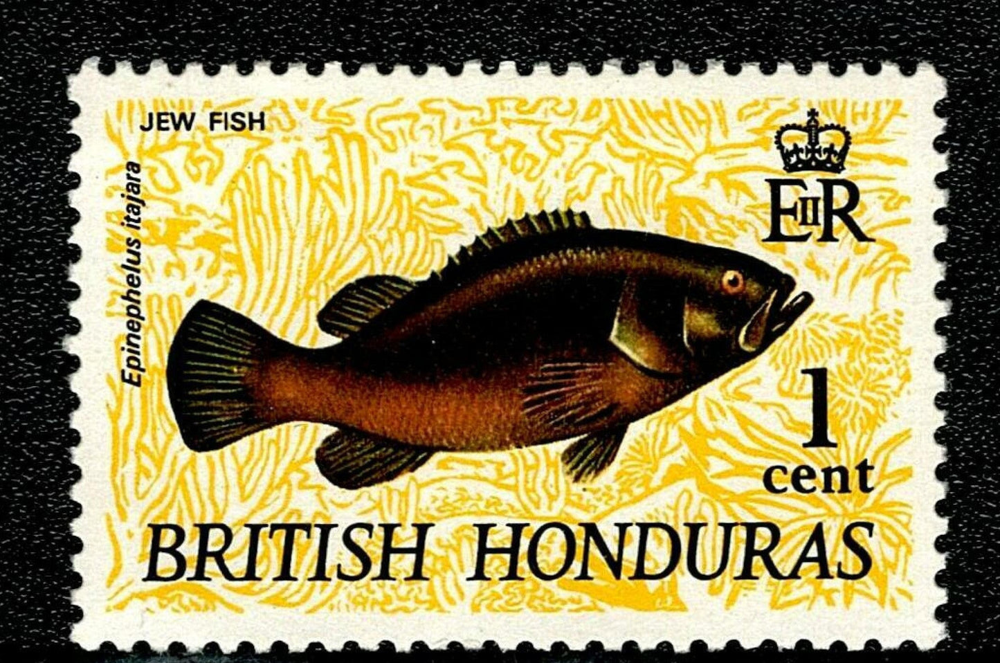 SCG129 British Honduras Stamp – Jew Fish (Epinephelus itajara) – Marine Life Series