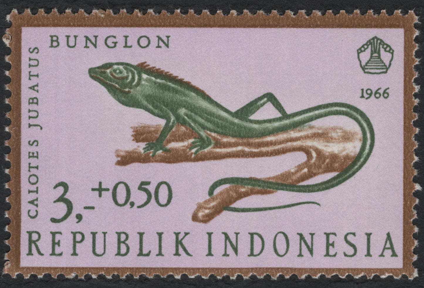 SCG7467 - Indonesia – Calotes Jubatus “Bunglon” (1966)