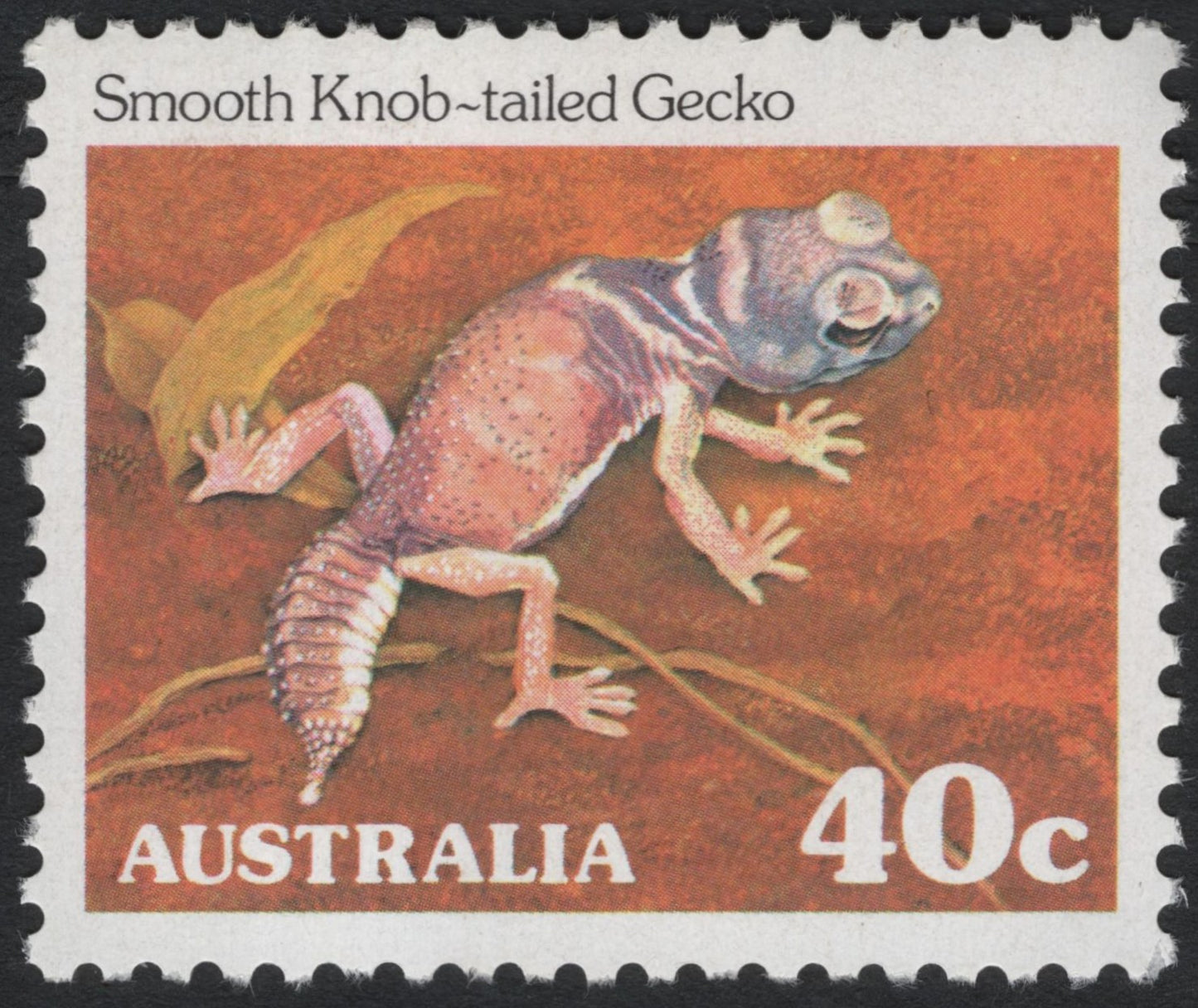 SCG7470 - 🇦🇺 Australia – Smooth Knob-tailed Gecko (40c)