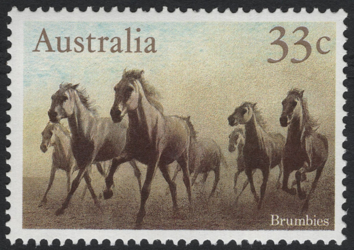 SCG7471 - Australia – “Brumbies” (1981)