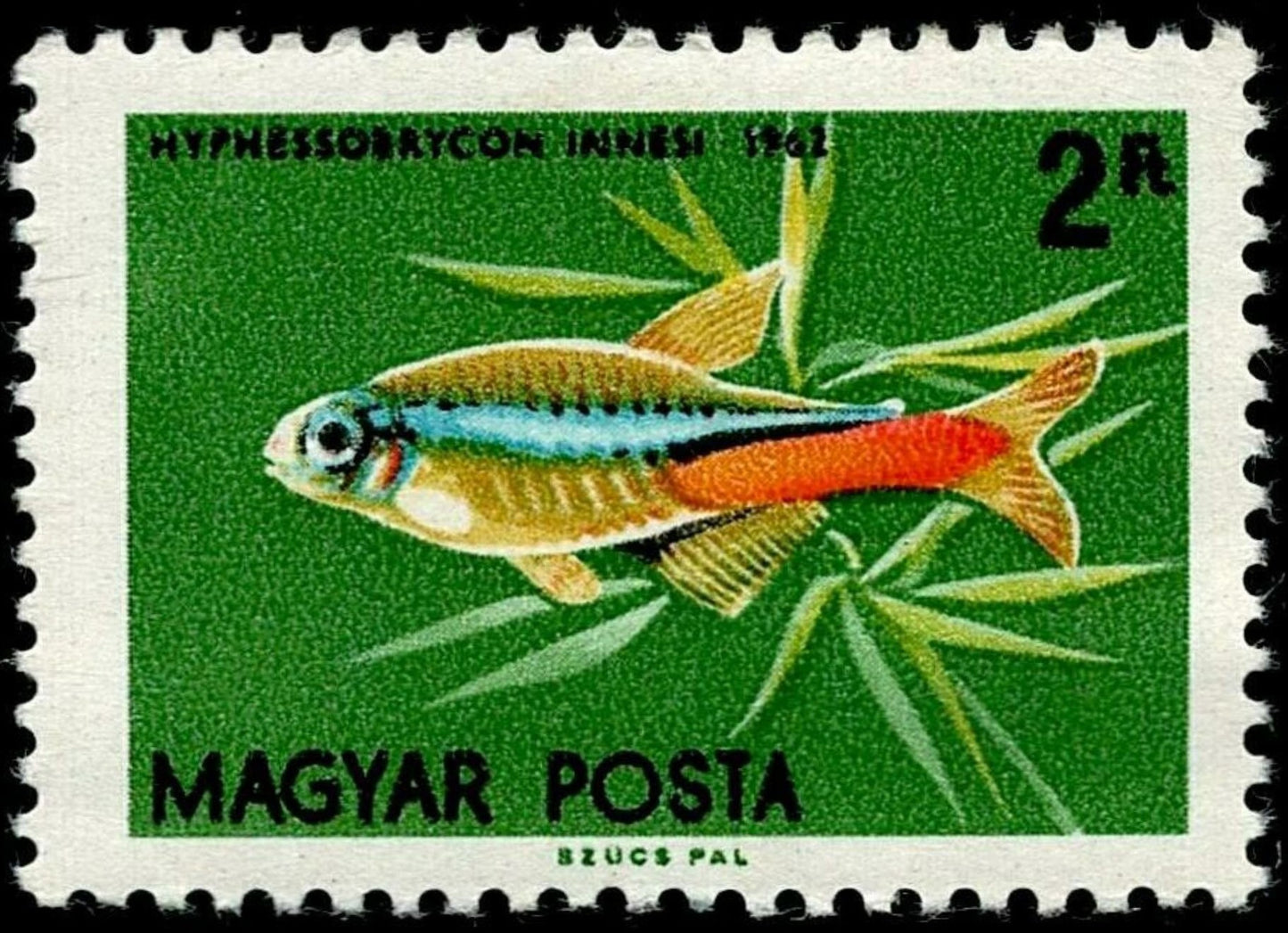 SCG1665 - Hungary 1962 Neon Tetra Aquarium Fish Stamp