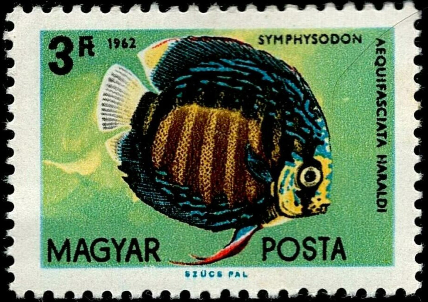 SCG1666 - Hungary 1962 Discus Fish Stamp – Symphysodon Aequifasciatus