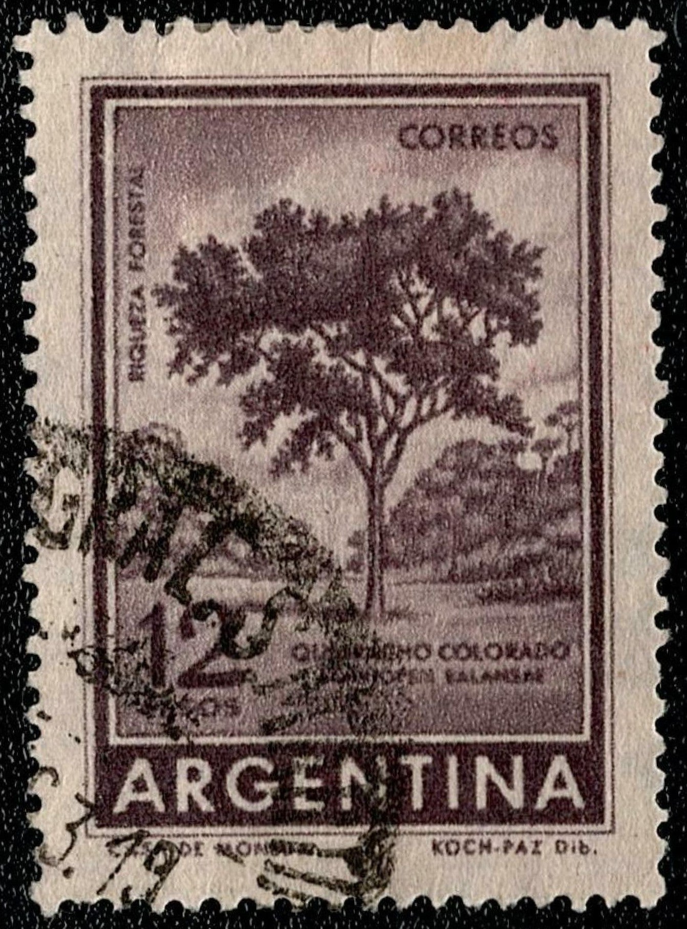 SCG702 - Argentina 12c Quebracho Colorado Tree Used