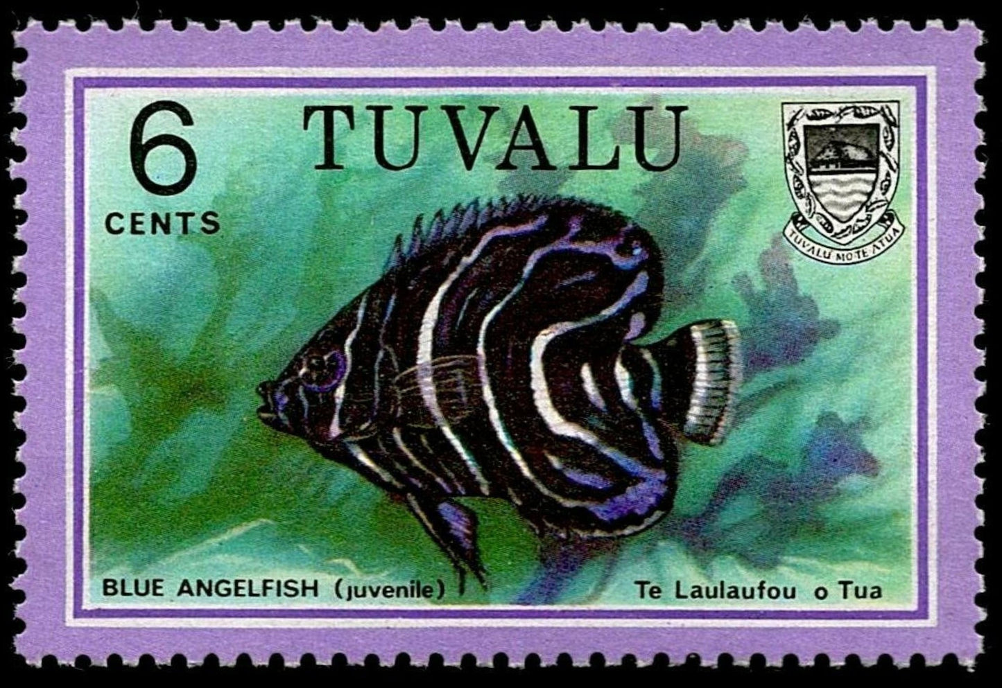SCG1653 - Tuvalu 6c Blue Angelfish (Juvenile) Stamp