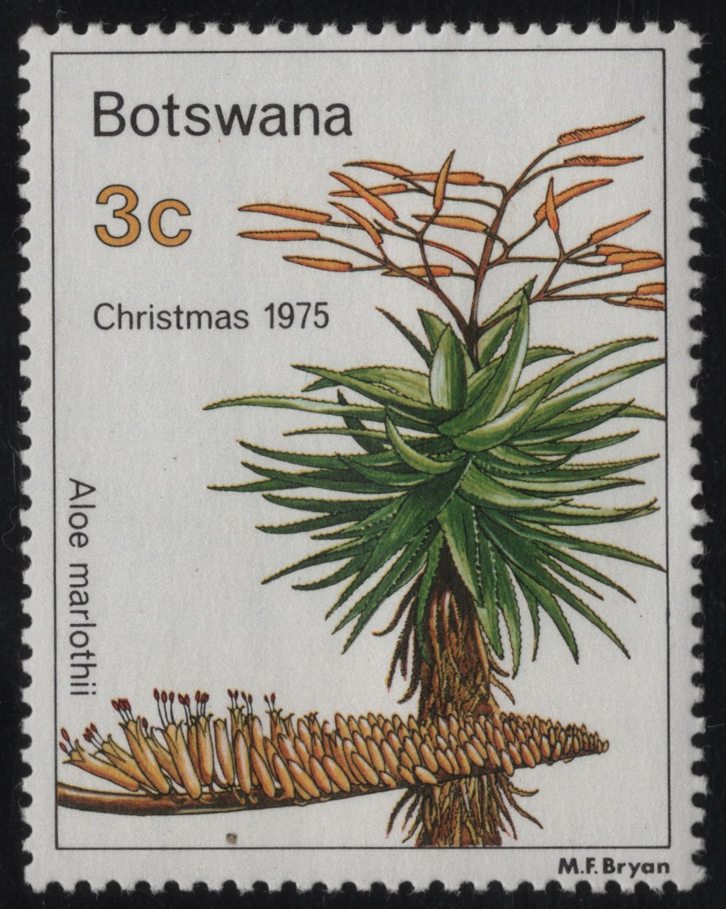 SCG1033 - Christmas 1975 – Aloe marlothii Botanical Stamp