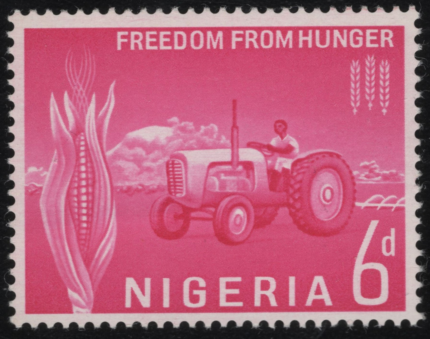 SCG1078 - Nigeria 6d – Freedom From Hunger (1963)