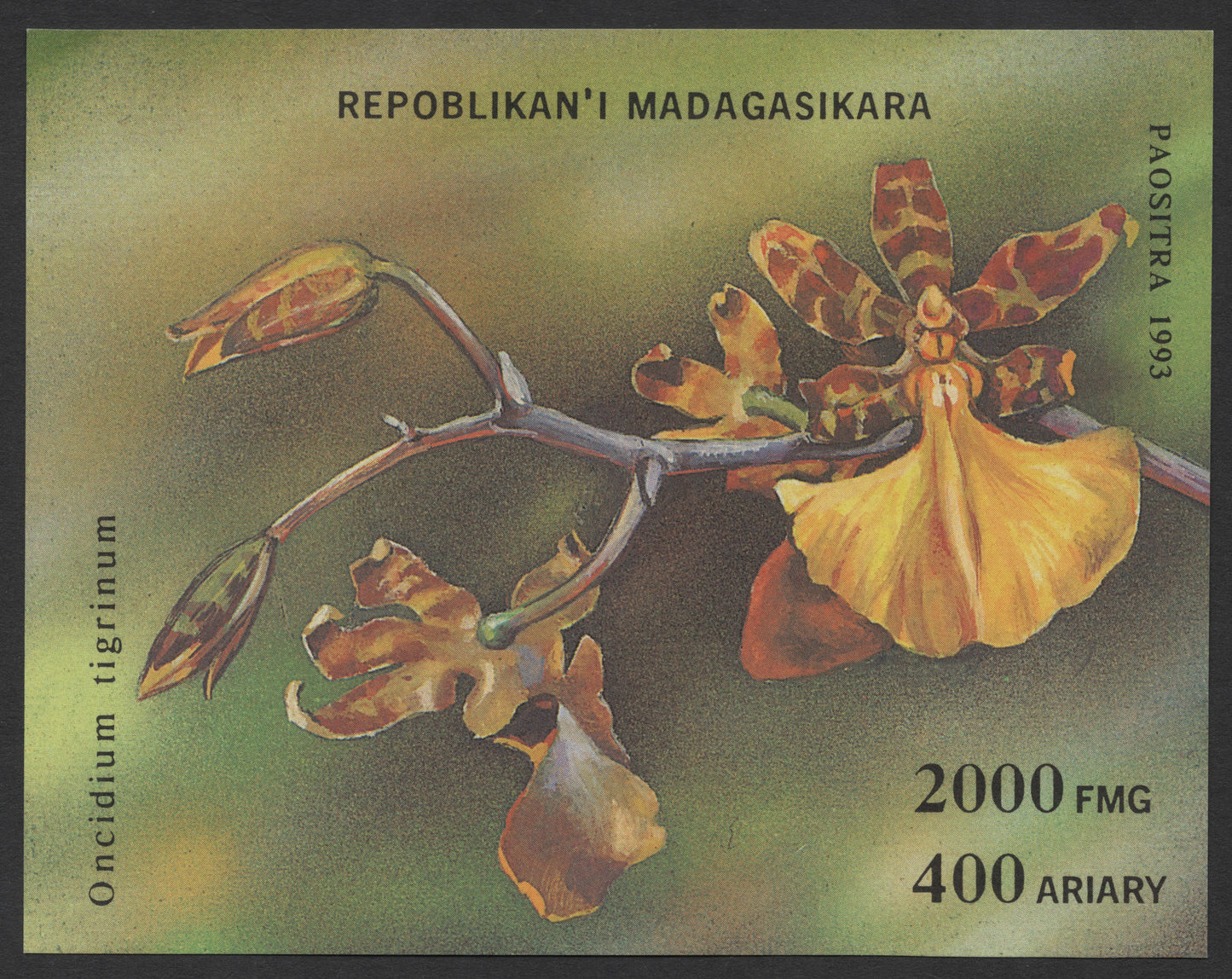 SCG1249 - Madagascar 1993 – Oncidium tigrinum Orchid Miniature Sheet