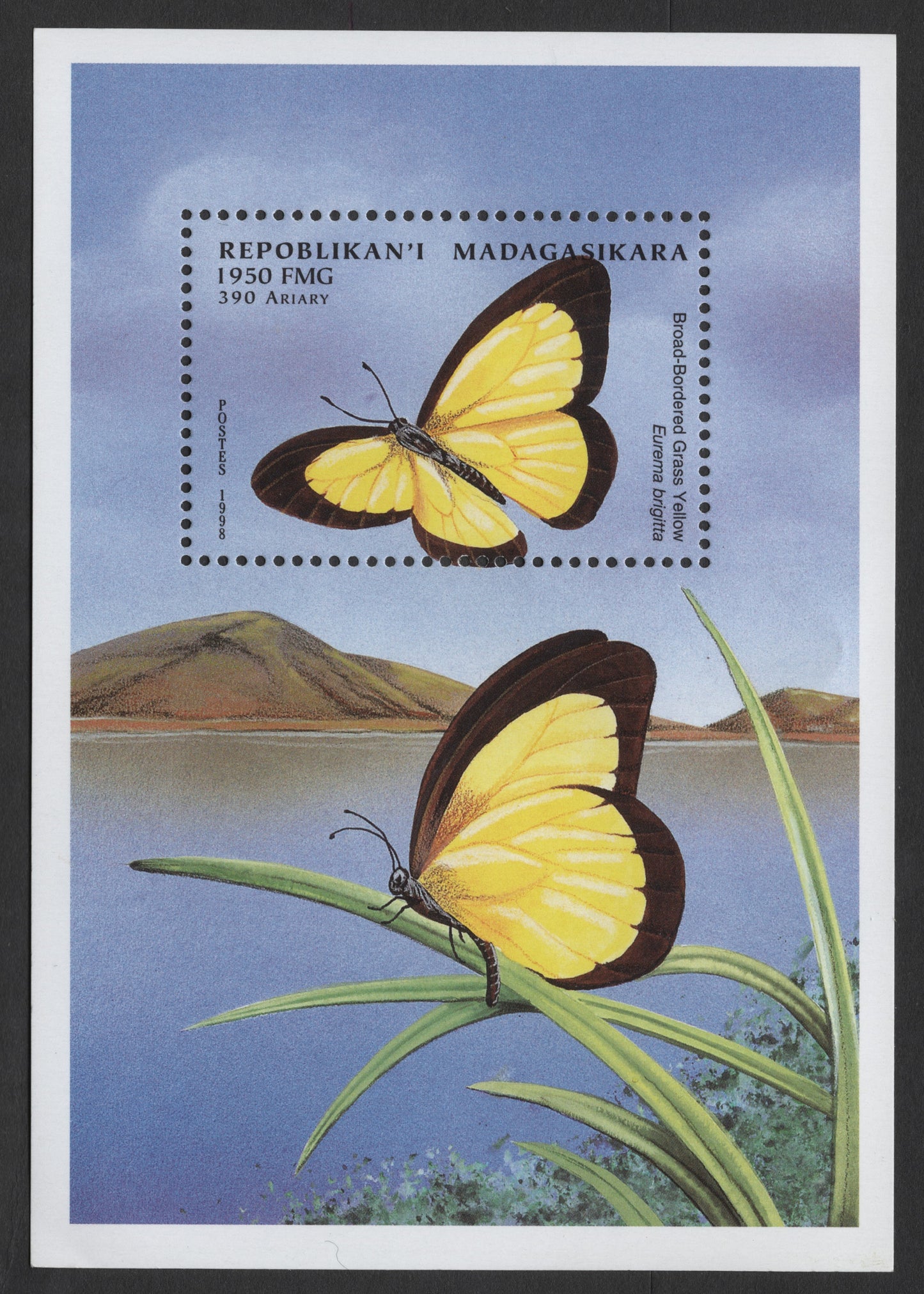 SCG1253 - Madagascar 1998 “Broad-Bordered Grass Yellow” Butterfly Miniature Sheet