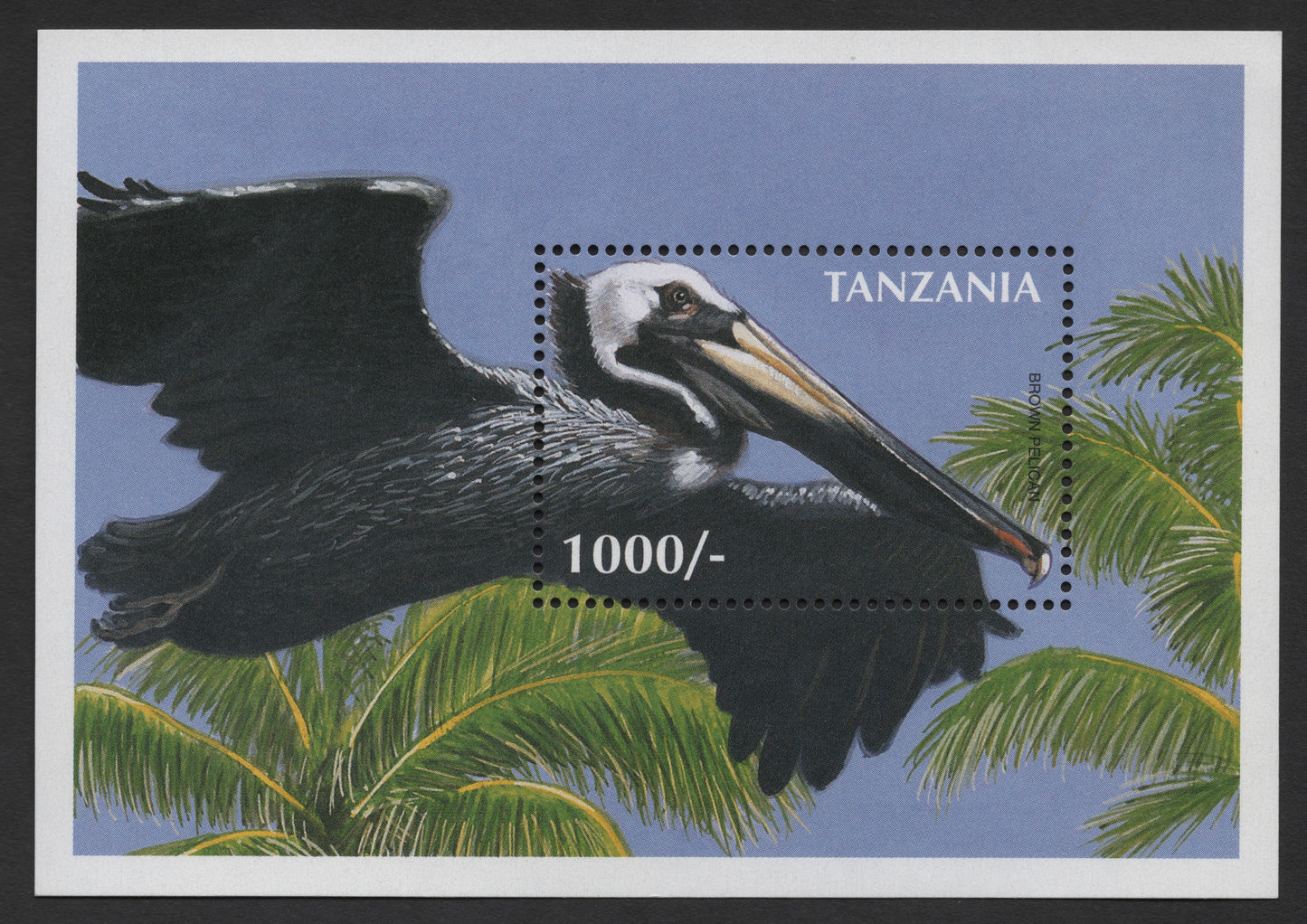 SCG1255 - Tanzania “Brown Pelican” Wildlife Miniature Sheet