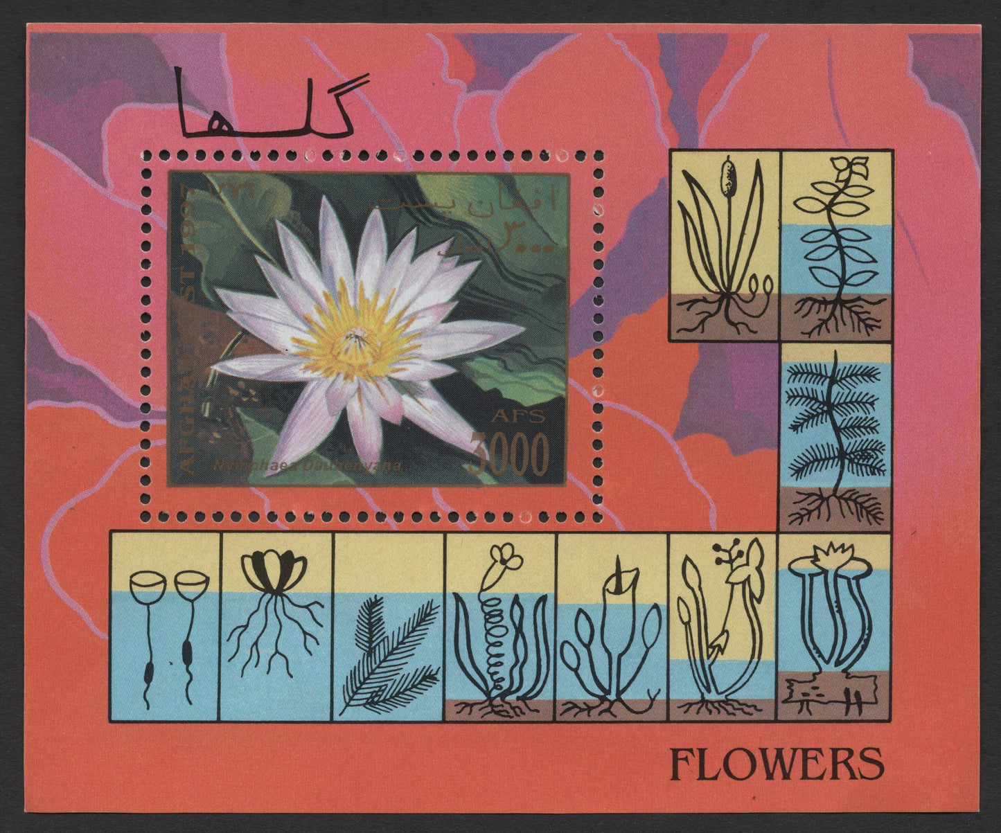 SCG1259 - Afghanistan 1997 “Nymphaea Daubenyana – Water Lily” Flower Miniature Sheet
