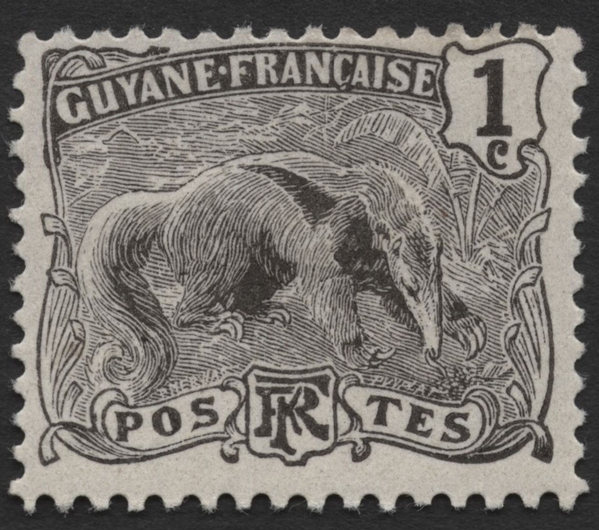 SCG1299 - French Guiana Giant Anteater Stamp – 1 Centime