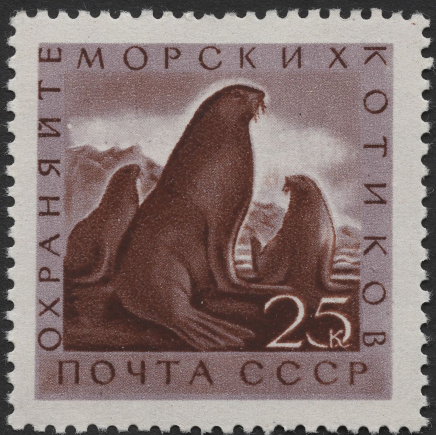 SCG1300 - USSR- Protect the Sea Lions