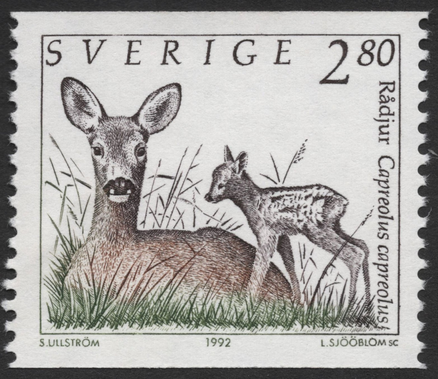SCG1301 - Sweden 1992 – Roe Deer with Fawn