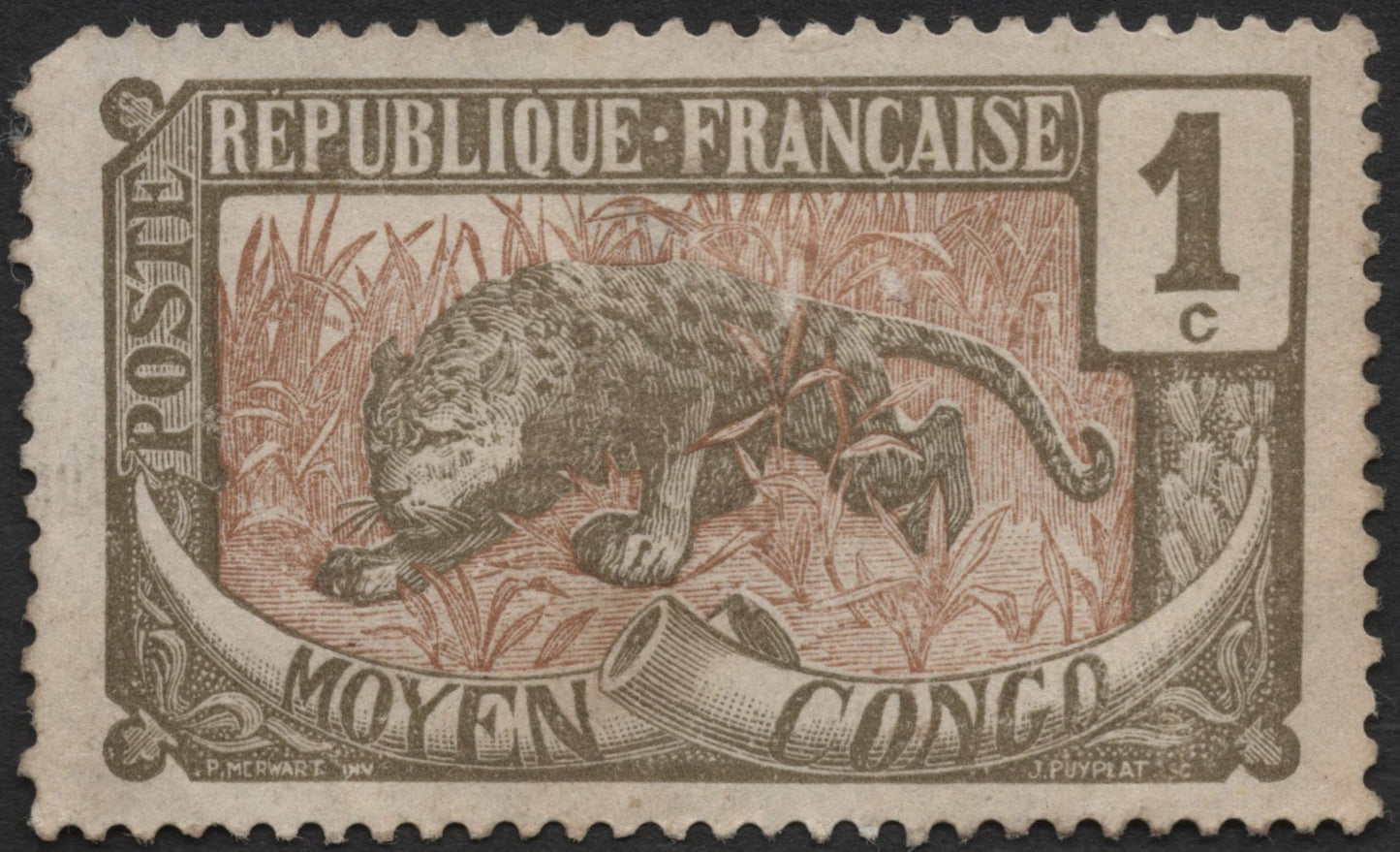 SCG1304 - Moyen Congo Leopard – French Colonial Issue