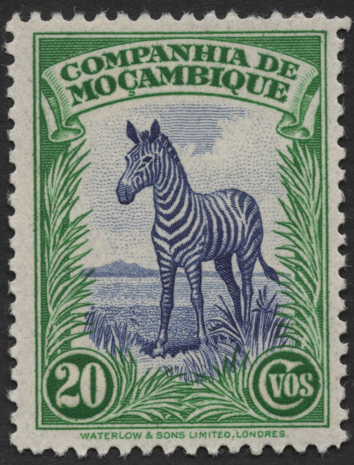 SCG1305 - Zebra – Mozambique Company Colonial Issue