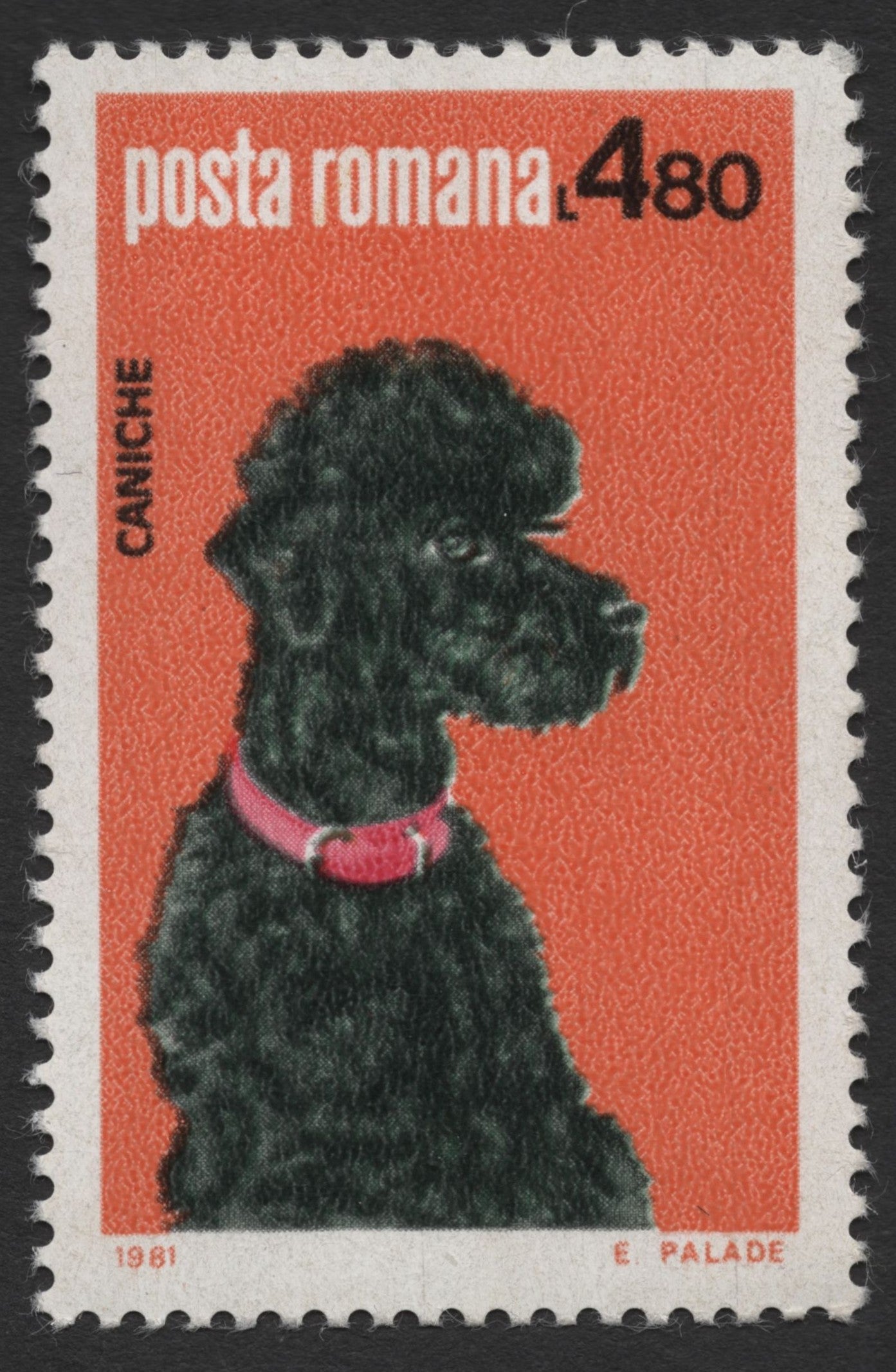 SCG1291 - Romania 1981 – Poodle (Caniche) Dog Stamp