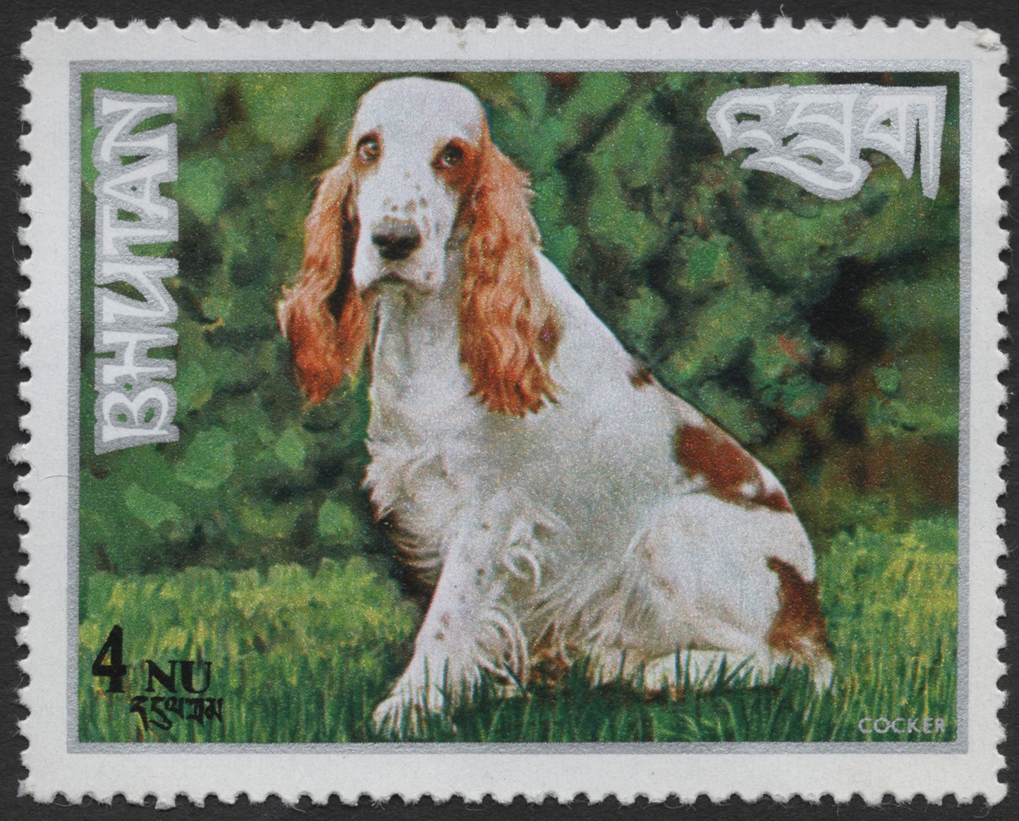 SCG1272 - Bhutan – Cocker Spaniel Dog Stamp