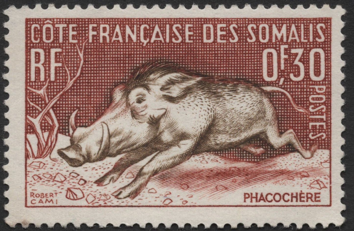 SCG1275 - French Somali Coast – 30c Warthog (Phacochère) Stamp