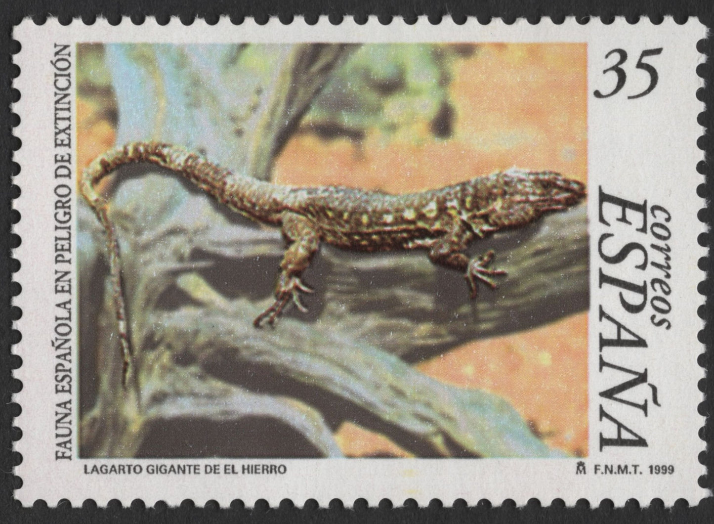 SCG1263 - Spain 1999 – El Hierro Giant Lizard