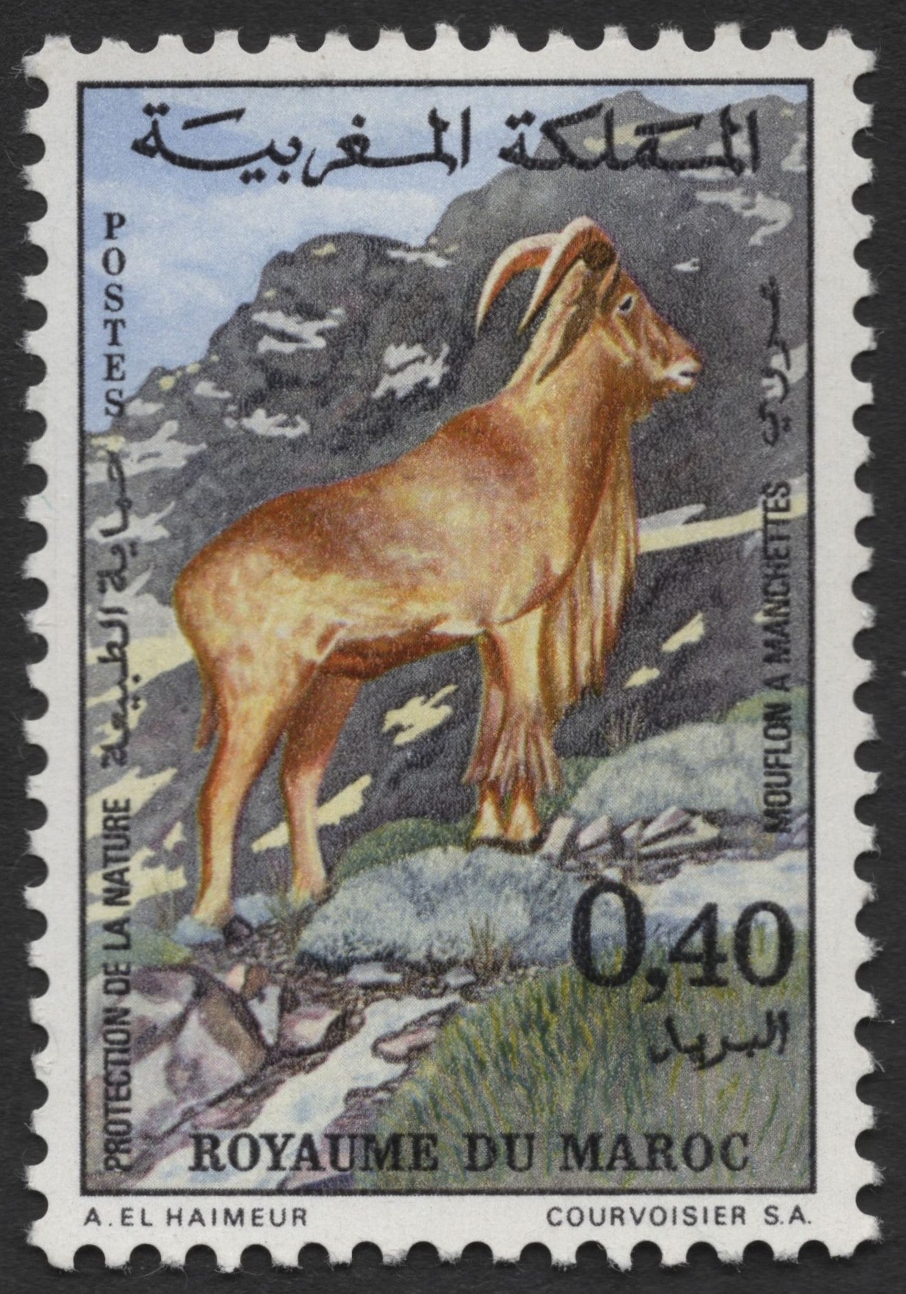 SCG1282 - Morocco – Nature Protection Series: Barbary Sheep