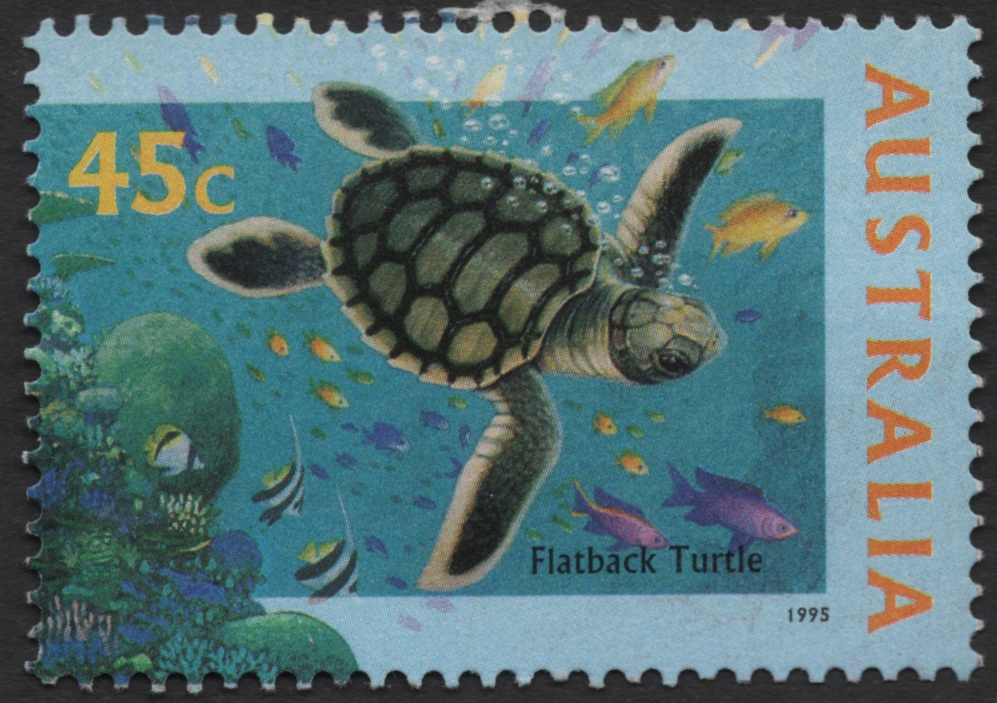 SCG1294 - Australia – Marine Life Series: Flatback Sea Turtle