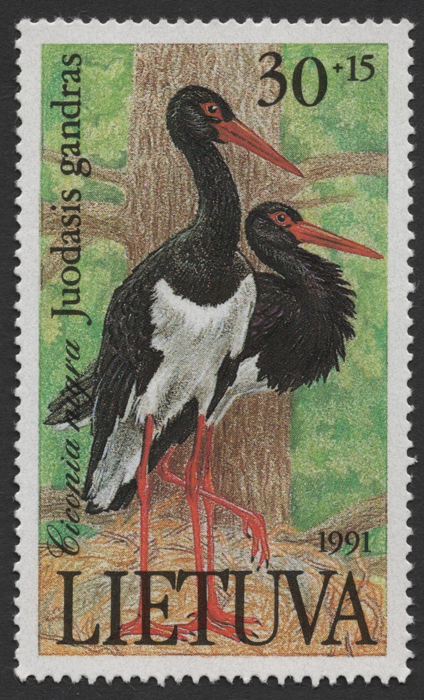 SCG1361 - Lithuania 1991 – Black Stork Conservation Issue