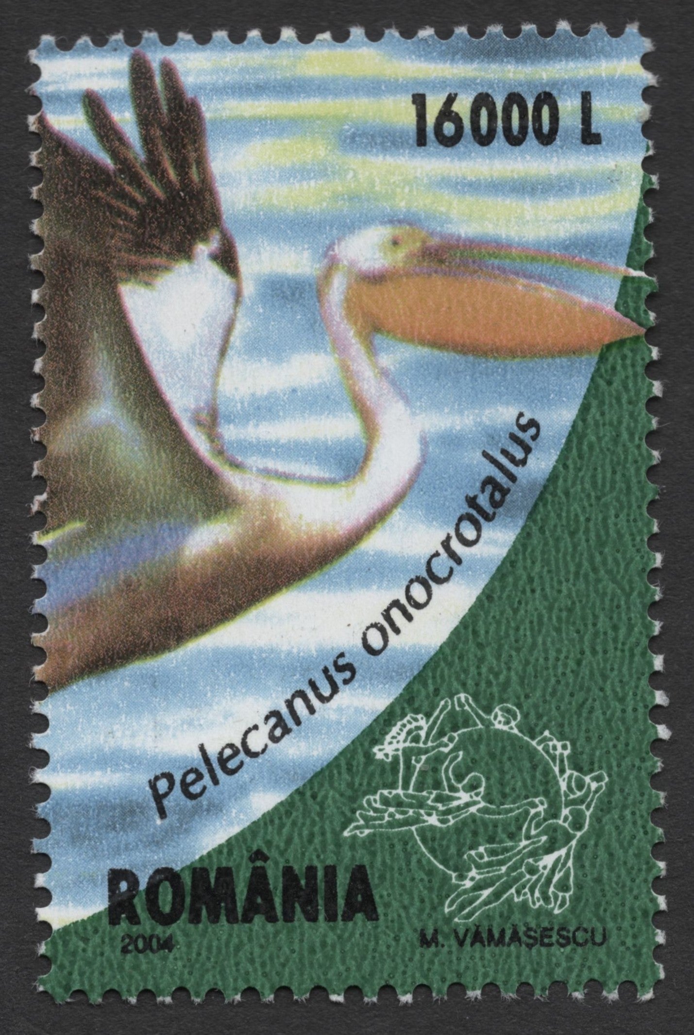 SCG1334 - Romania 2004 – 16000L Great White Pelican (Pelecanus onocrotalus)