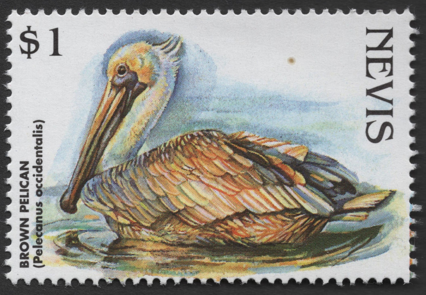 SCG1335 - Nevis $1 Brown Pelican Stamp (Pelecanus occidentalis)