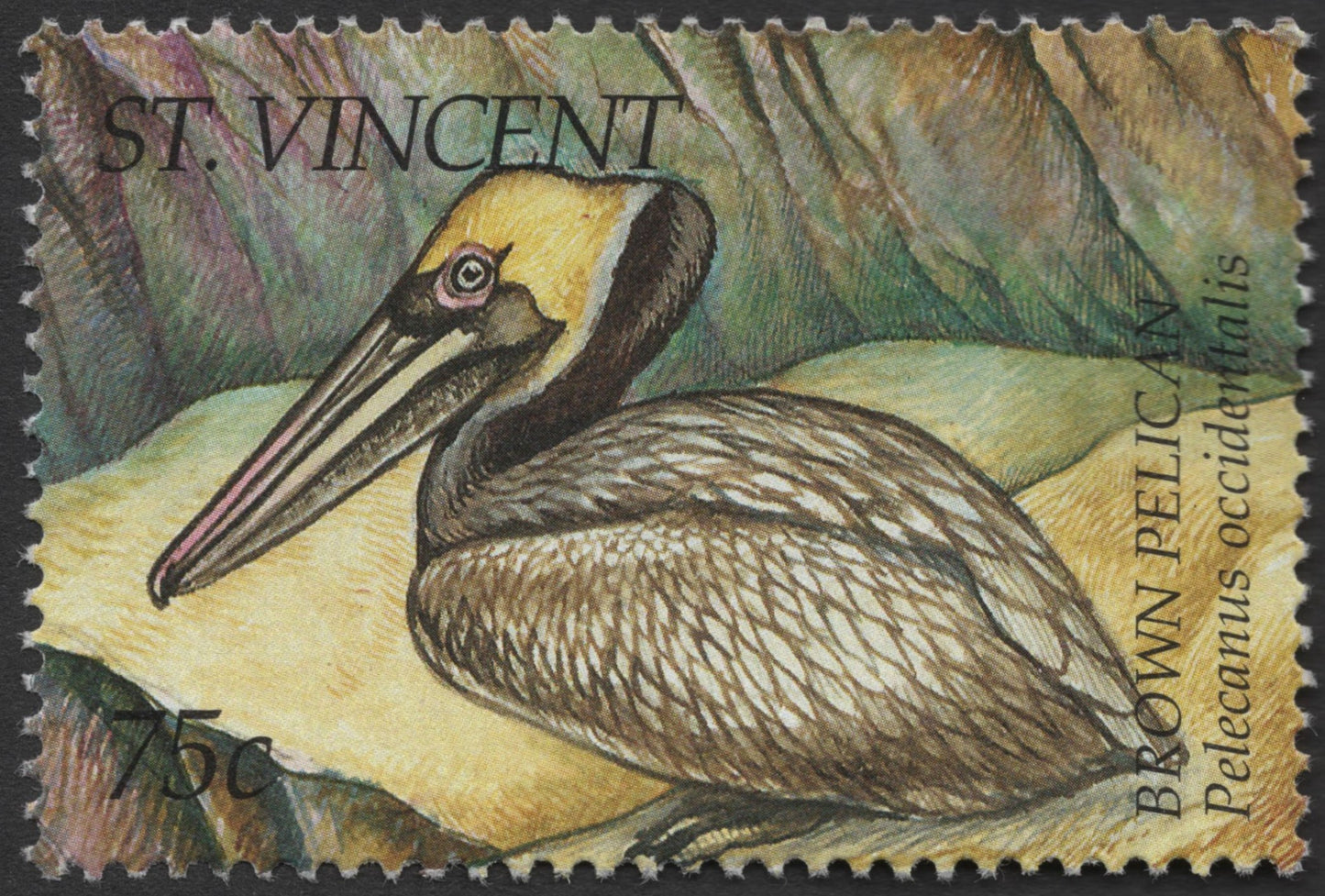 SCG1328 - St. Vincent 75c Brown Pelican Stamp (Pelecanus occidentalis)