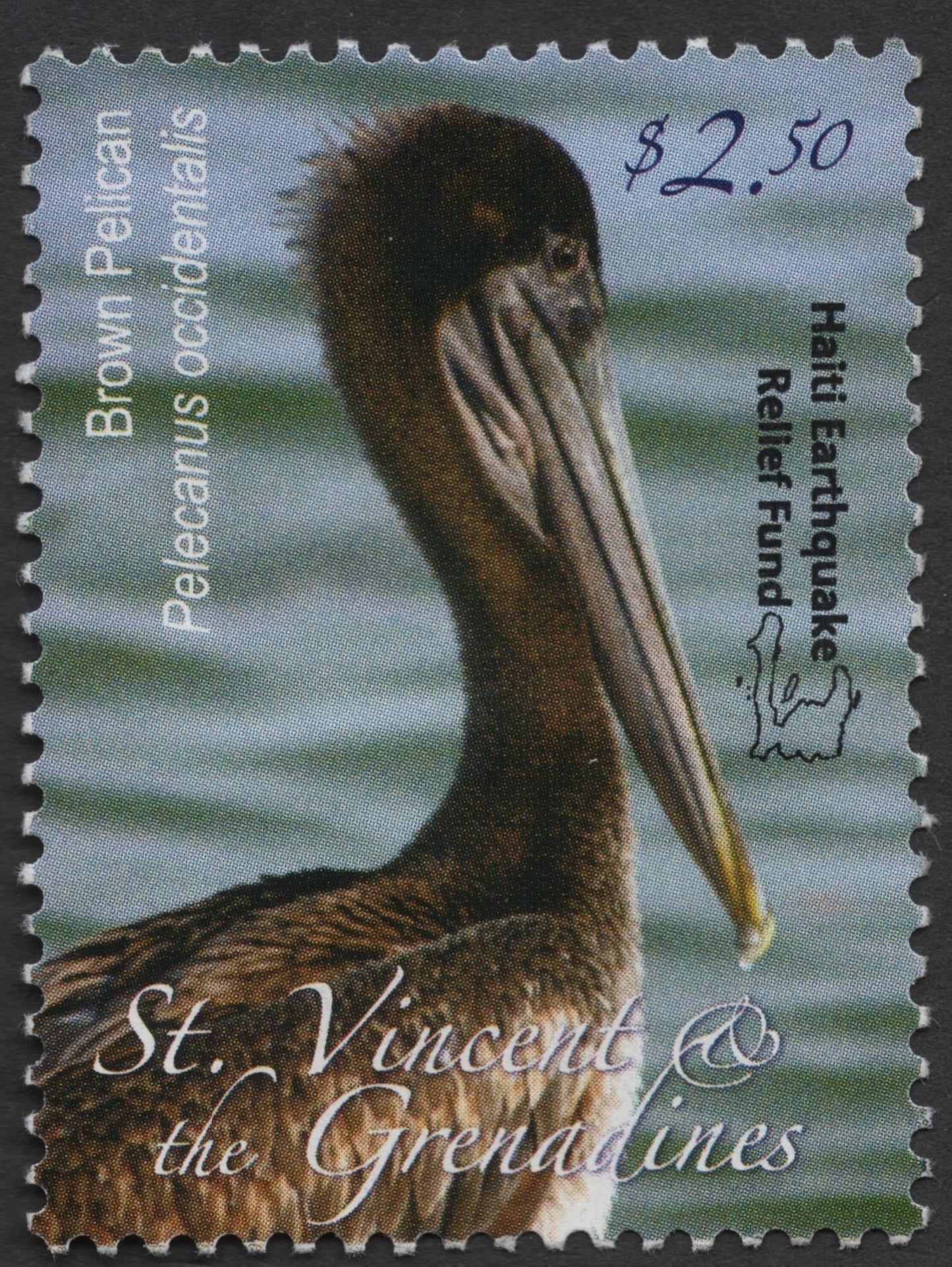 SCG1329 - St. Vincent & the Grenadines $2.50 Brown Pelican – Haiti Earthquake Relief Fund